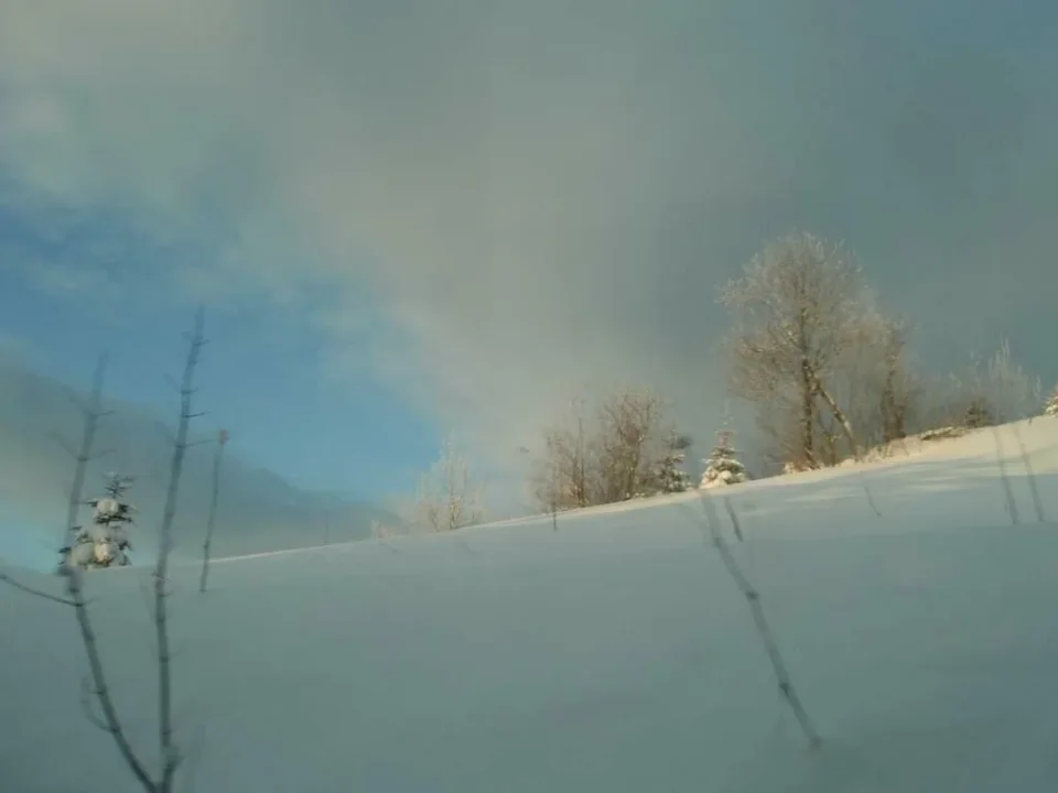 Zima
