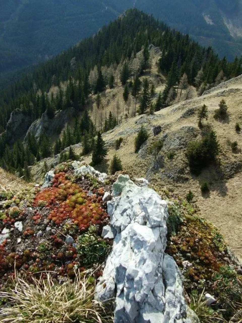 Sina na juznom hrebeni
