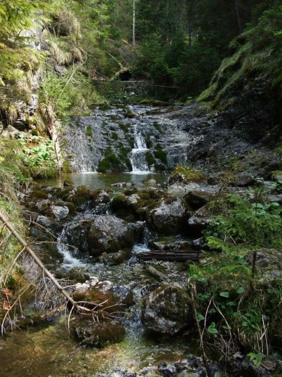 v dolinke Vyvieranie