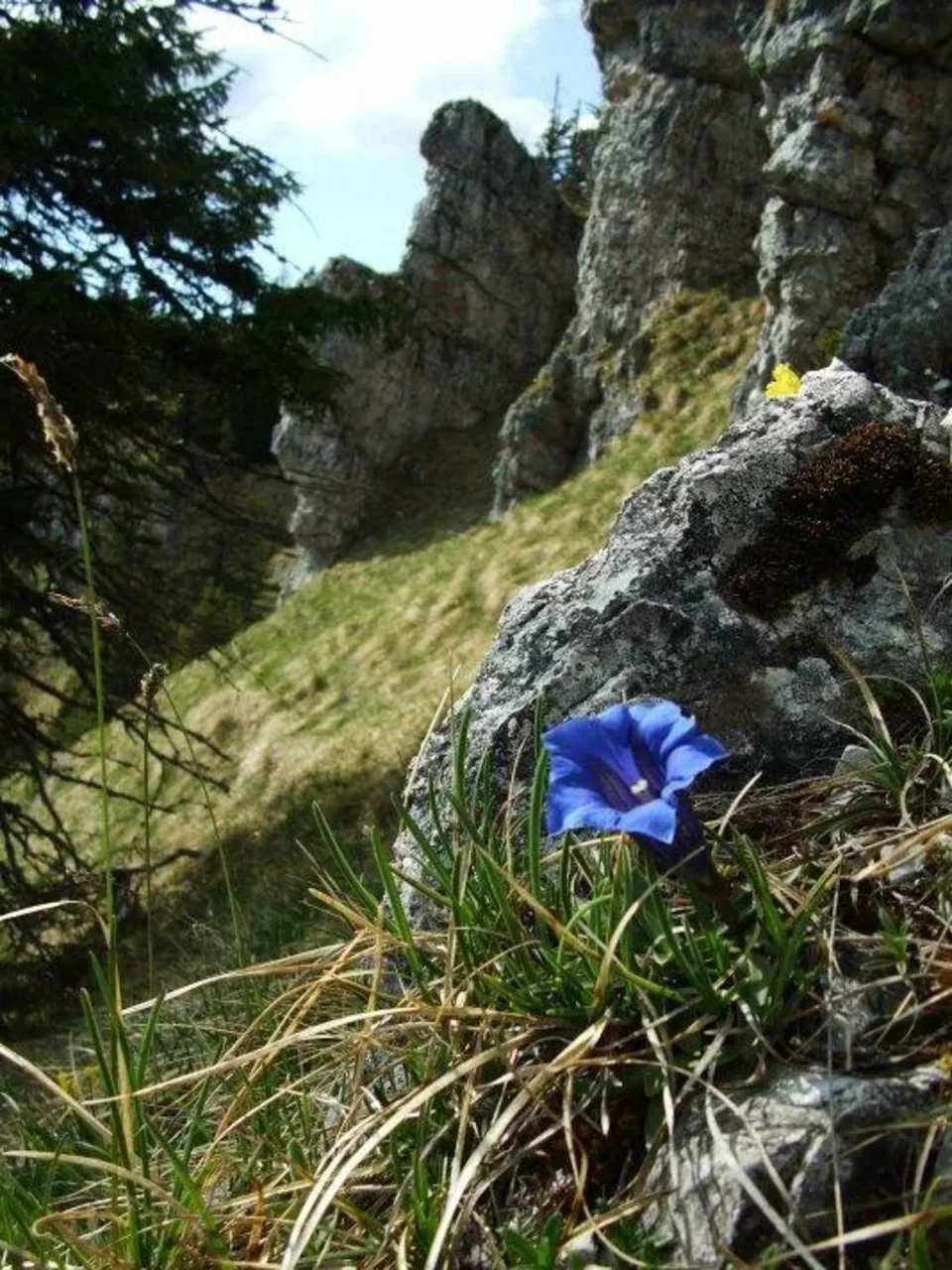 na Prasivom