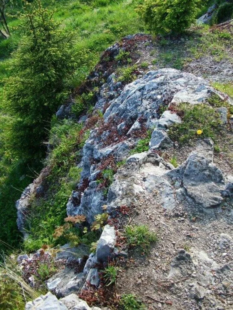 Liptovsky hrad