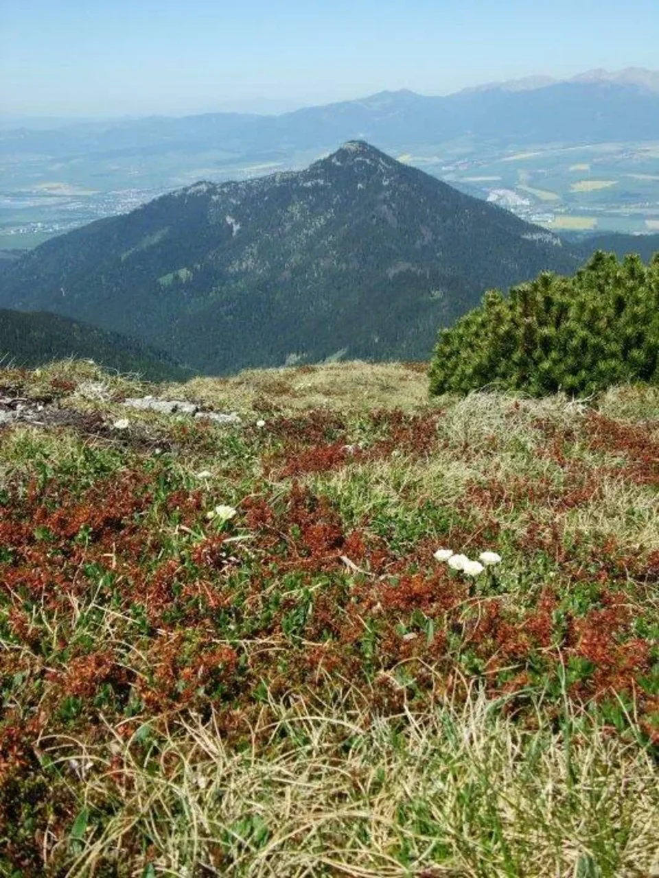 na Krakovej holi Poludnica Zapadne Tatry