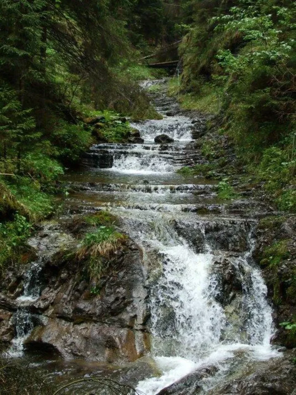 v dolinke Vyvieranie