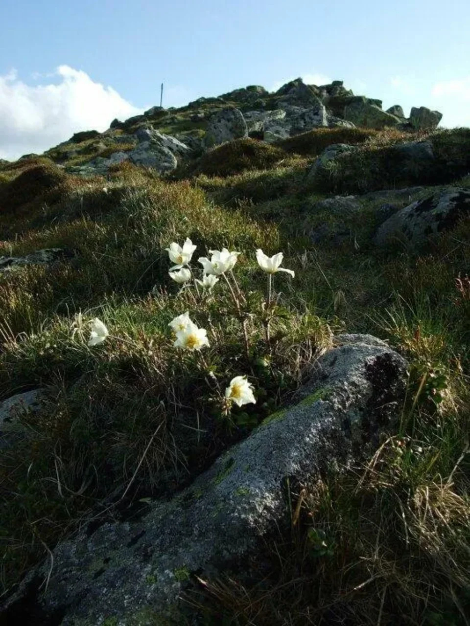 na Zaklukach
