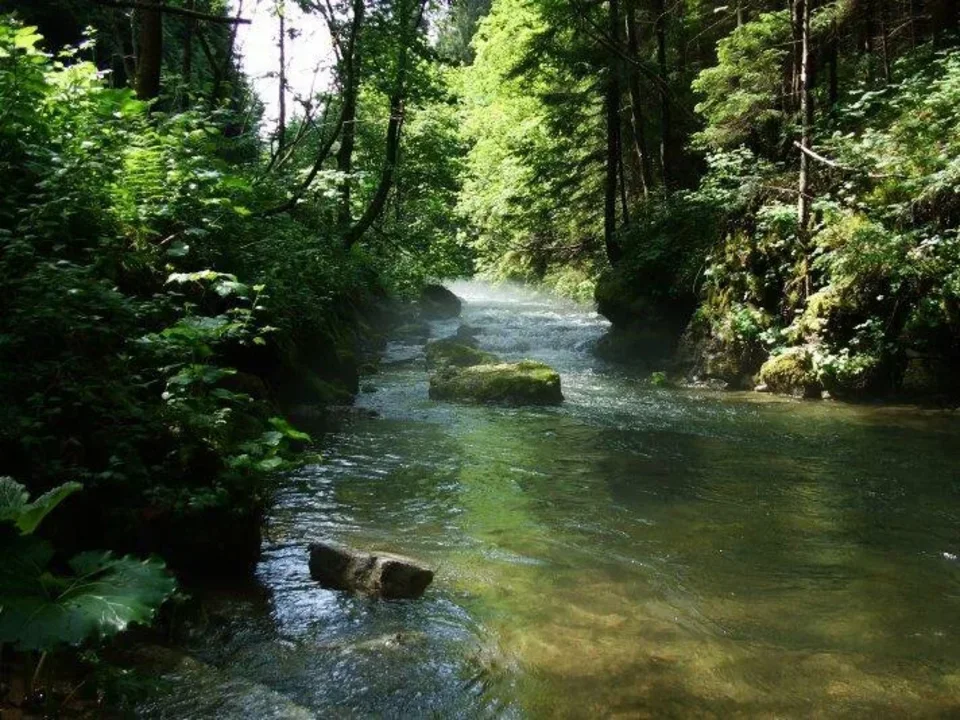 Janska dolina