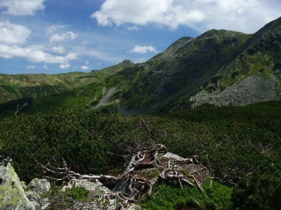 Lukova kotlina Konske _Zadny Konsky grun Kralov stol