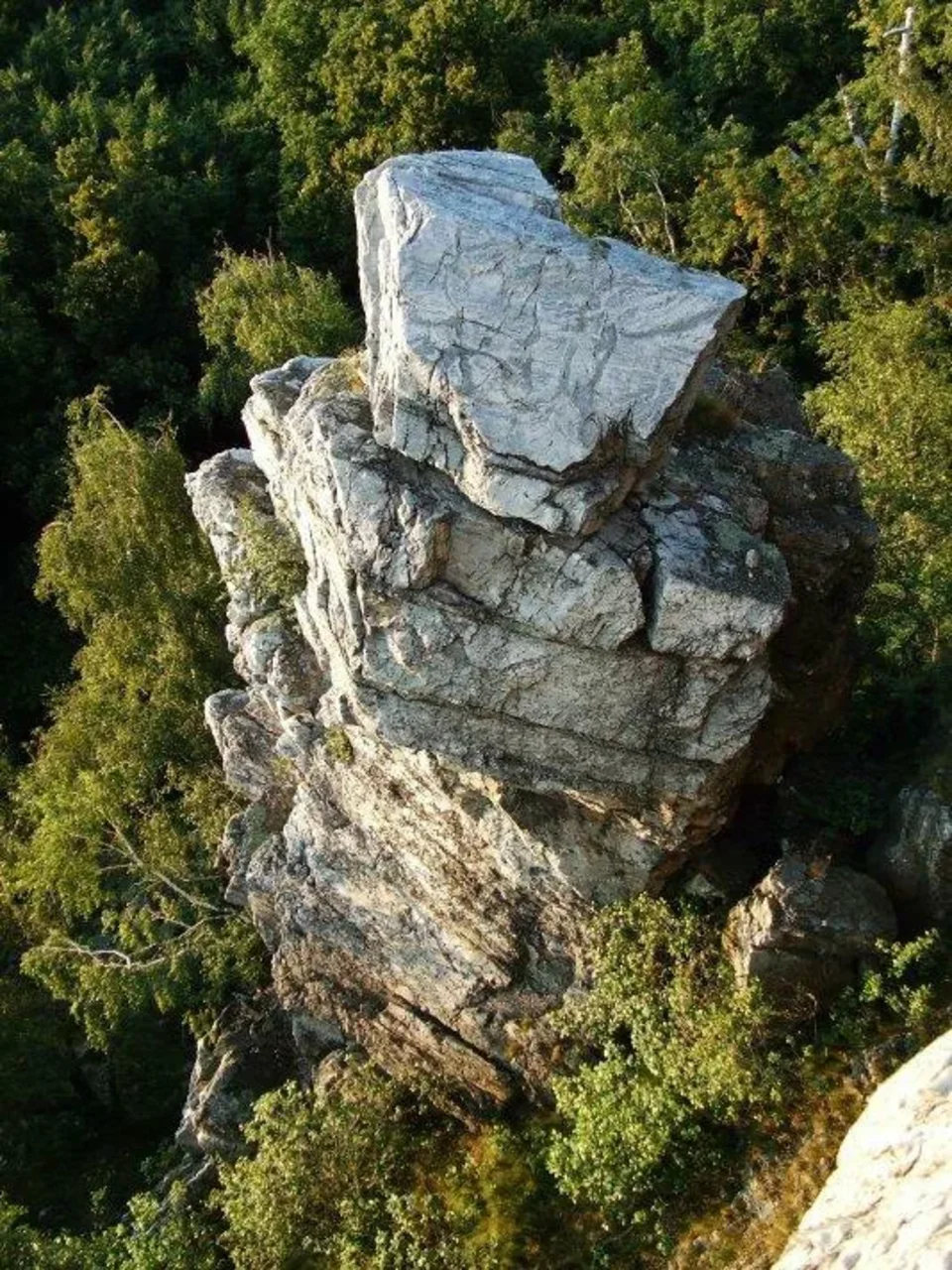 Plieska_Velka skala Severna vezicka