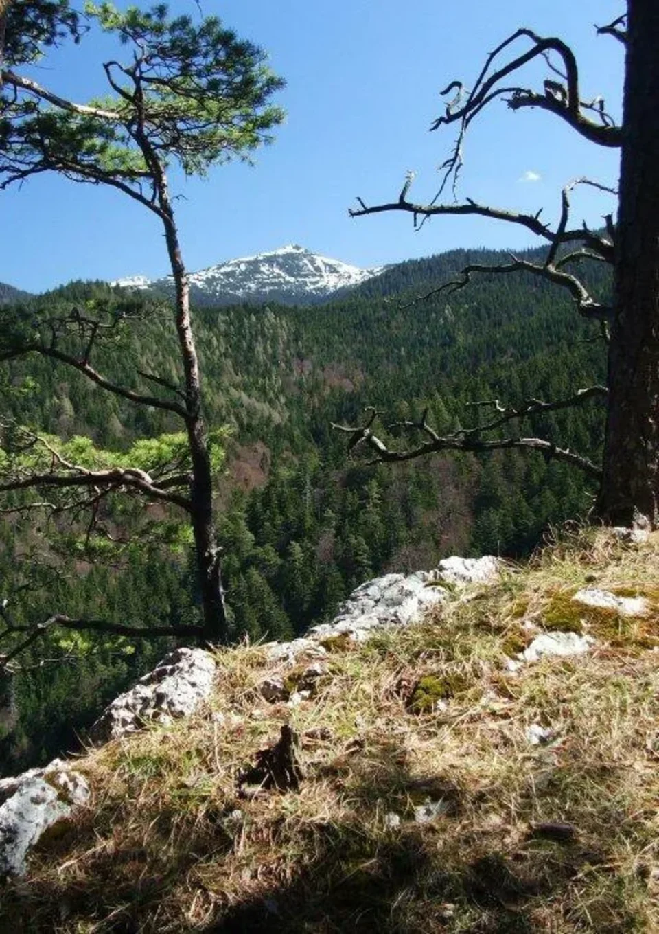 na vrchole Mestrovej Kamenny grun Ostro_Velke Ostre