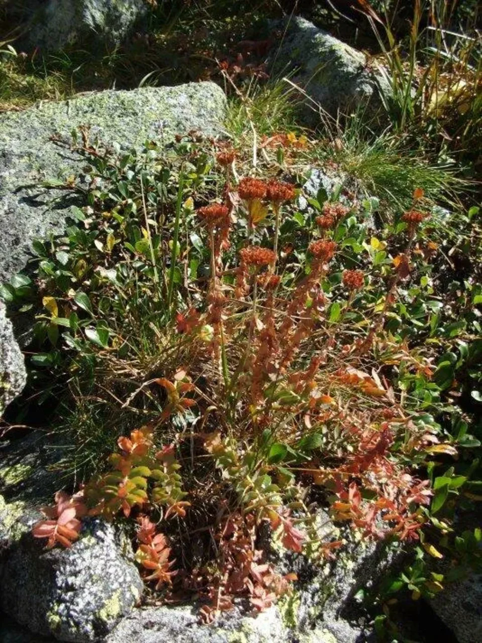 Mlynicka dolina na prahu Skok