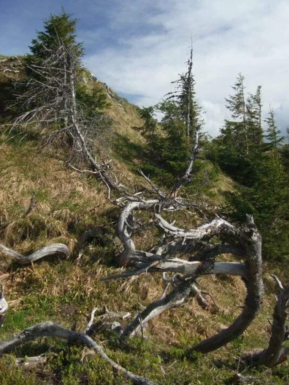 na Sinej