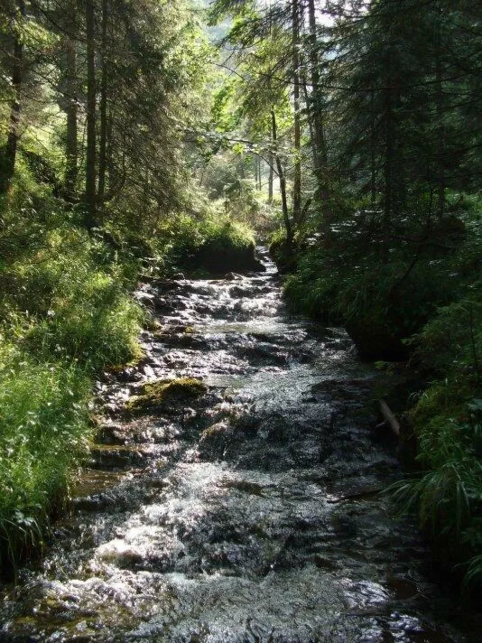rano v dolinke Vyvieranie