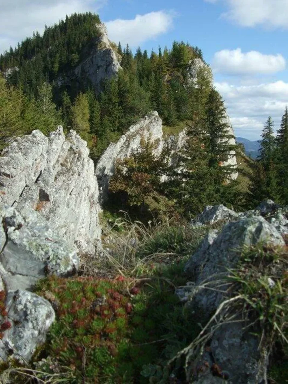 Na Ohnisti