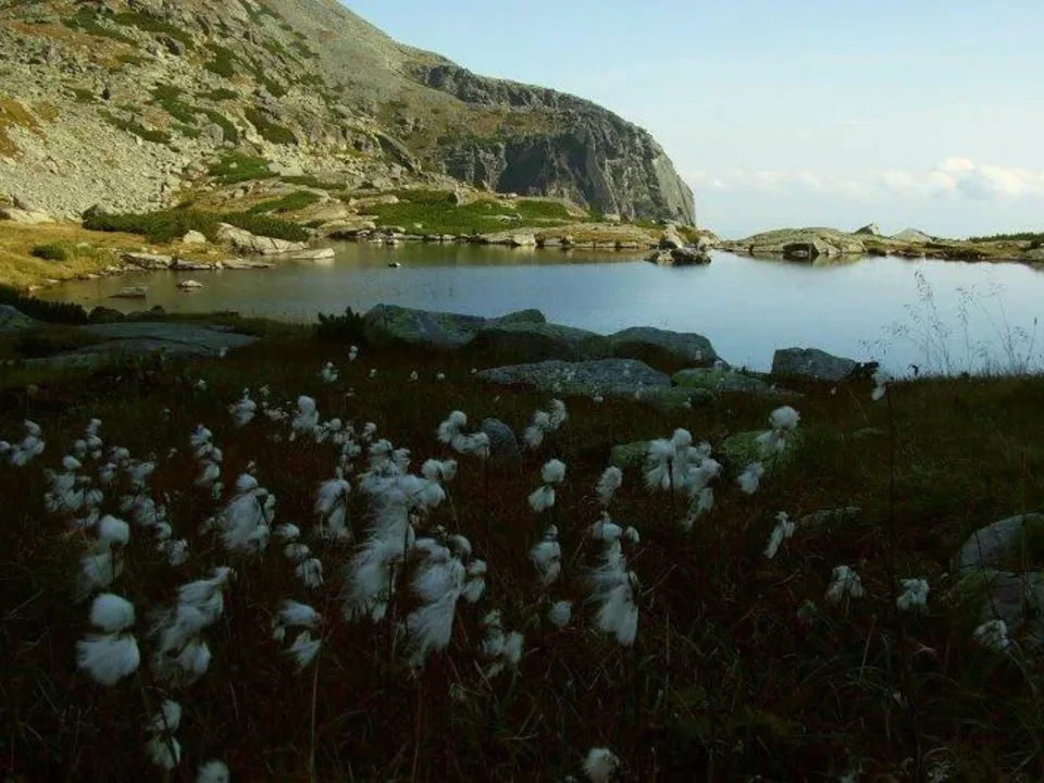 Pleso nad Skokom
