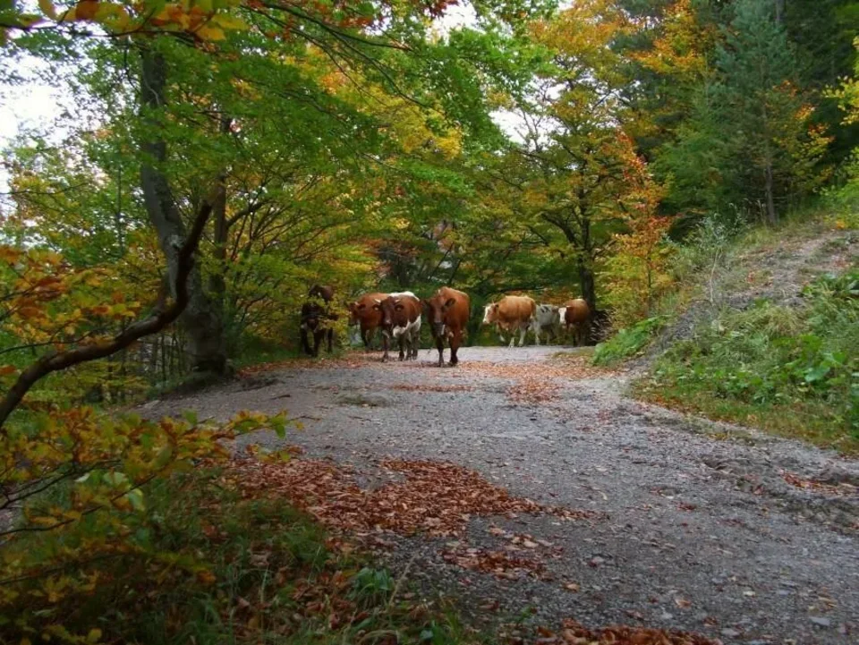Jesenna farebna symfonia v Kvacianskej doline