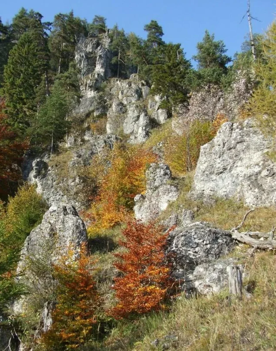 Opaliska - Setisko_Selnice