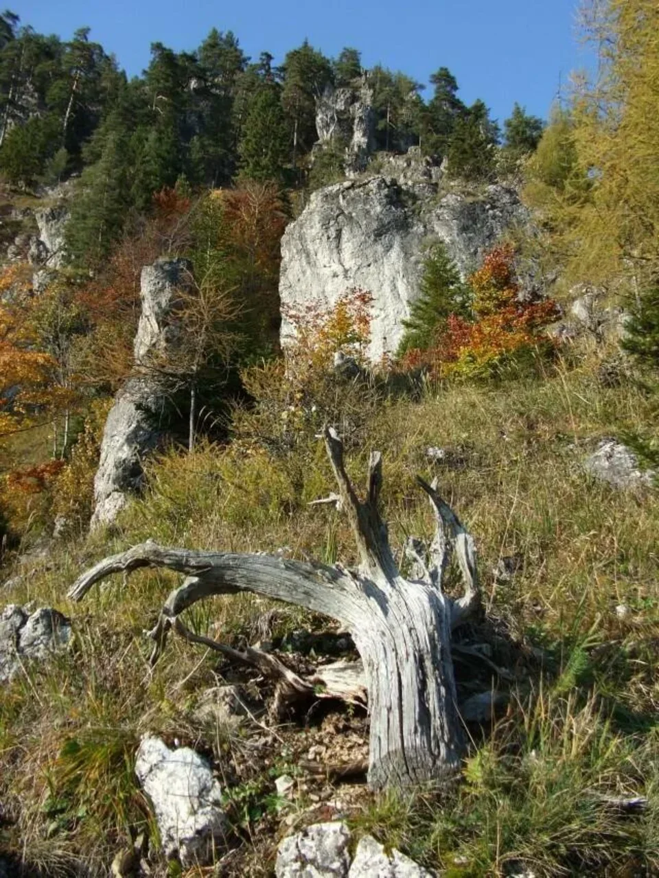 Opaliska - Setisko_Selnice
