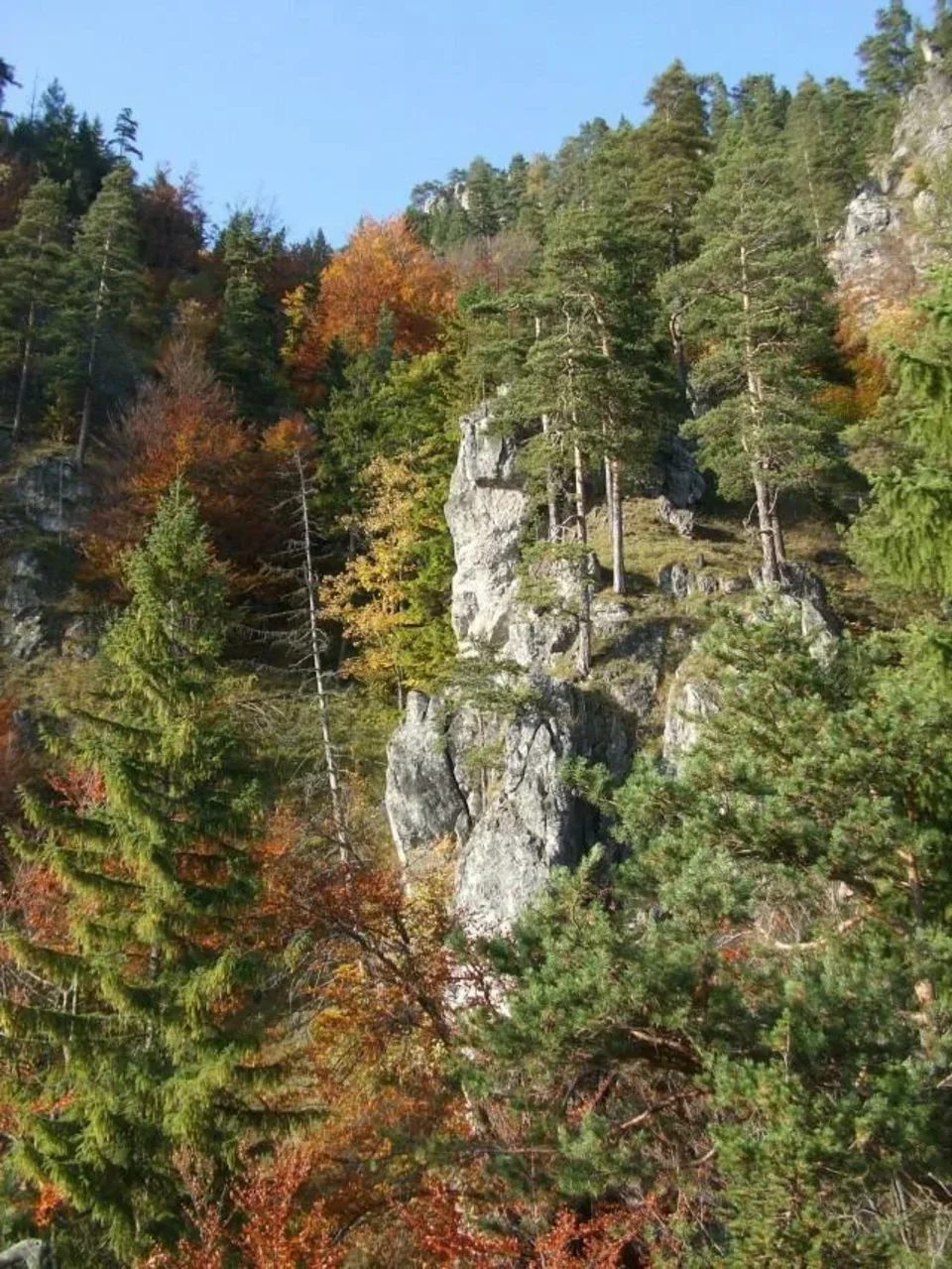 Opaliska - Setisko_Selnice