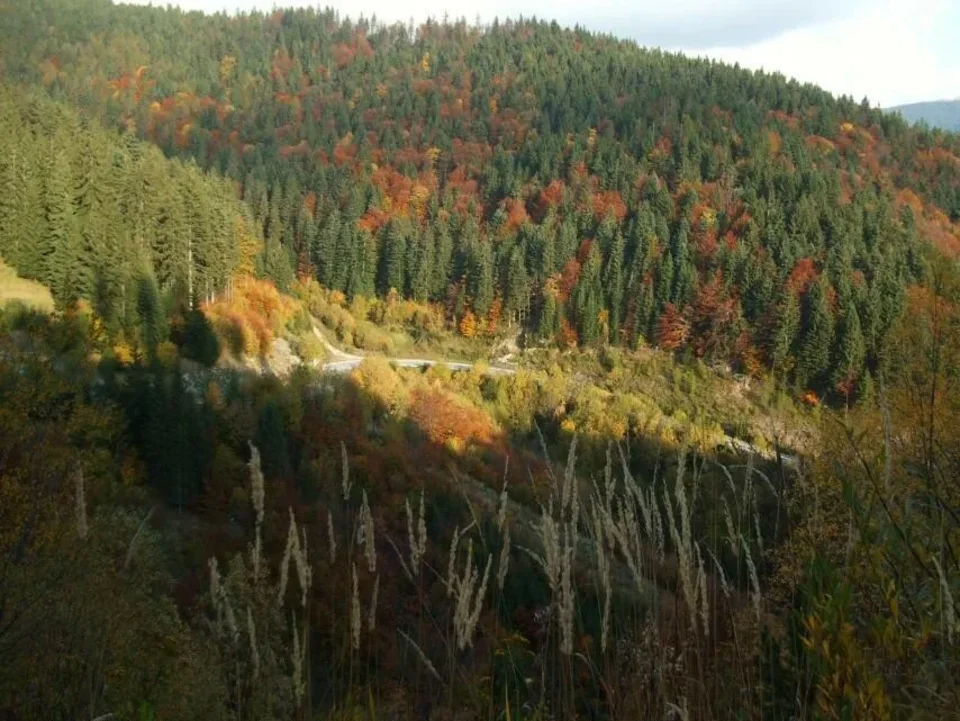 Za skalicou