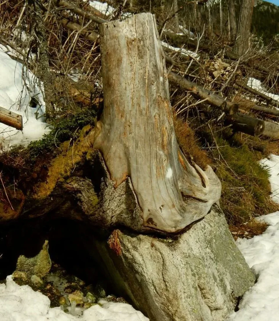 Pod Ostepmi