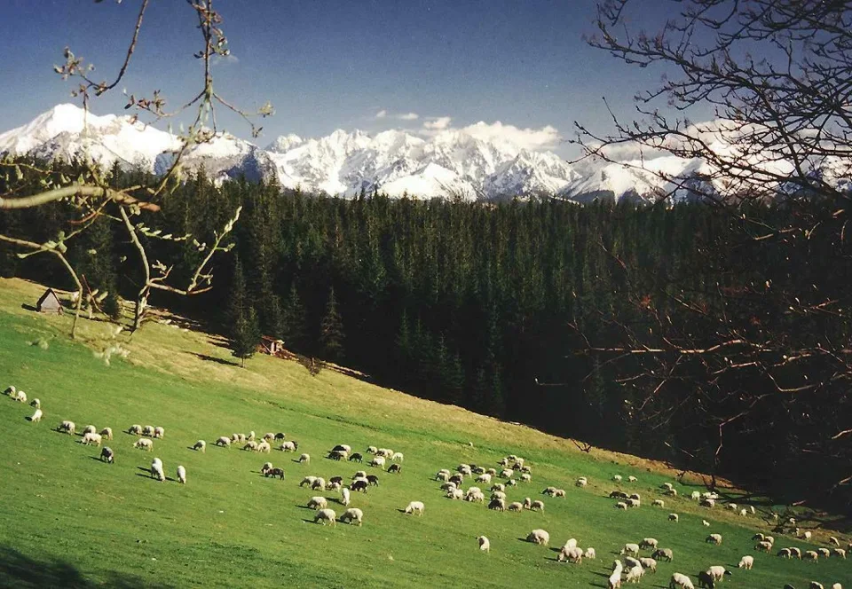 Tatry Bielskie i Wysokie z Głodówki