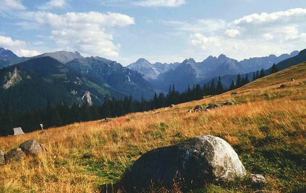 Panorama z Rusinowej Polany