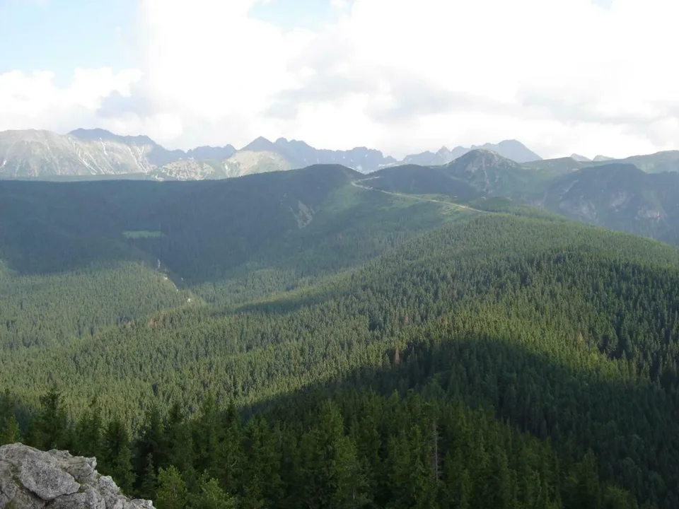 ... widok na Tatry z Nosala