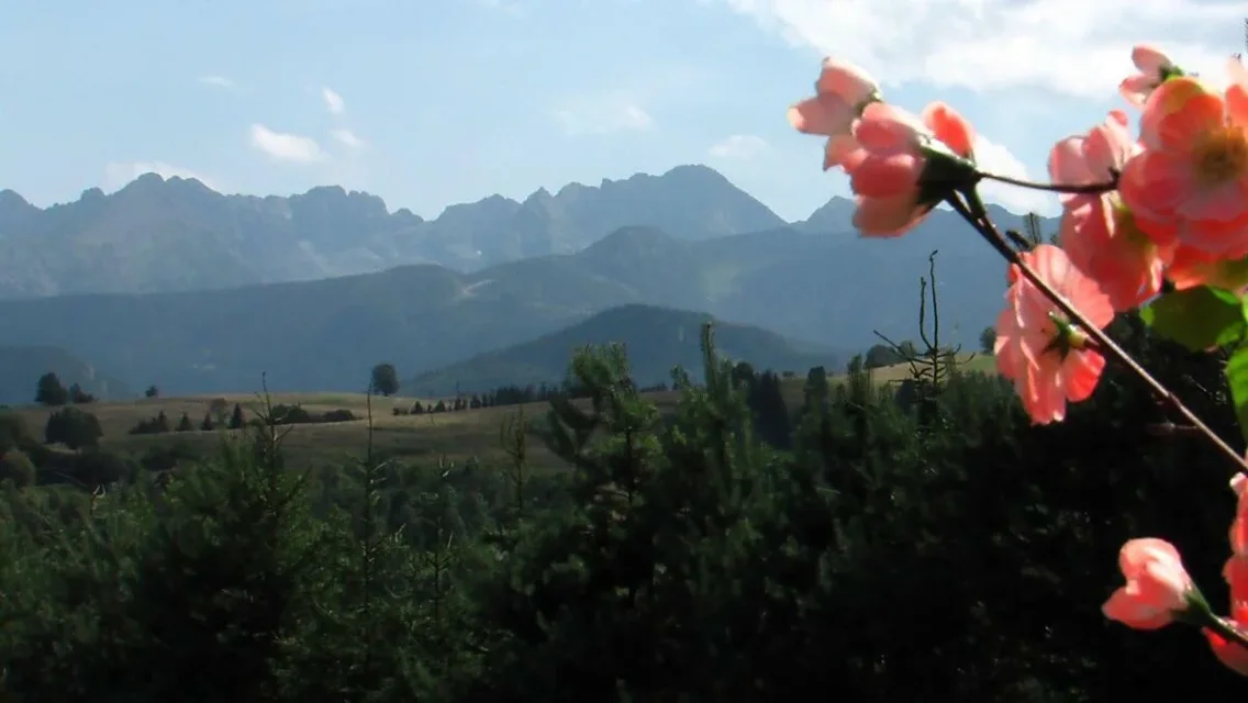 Panorama Tatr z Harendy (2)