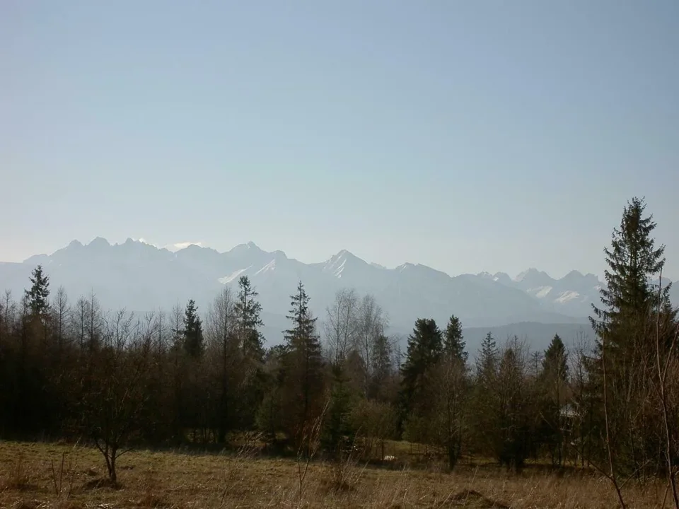 Tatry widziane z polany w Czorsztynie