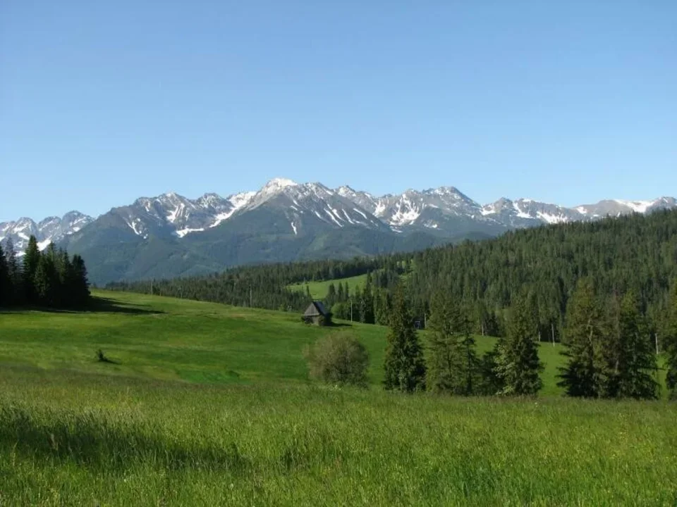 Głodówka- widok na Tatry