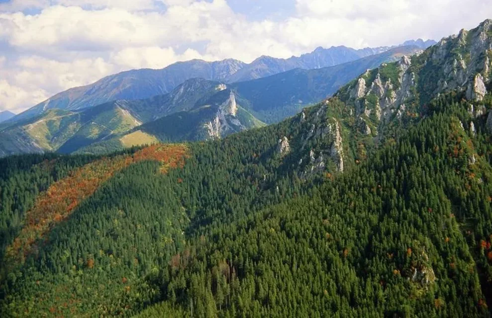 Panorama Tatr z Sarniej Skały