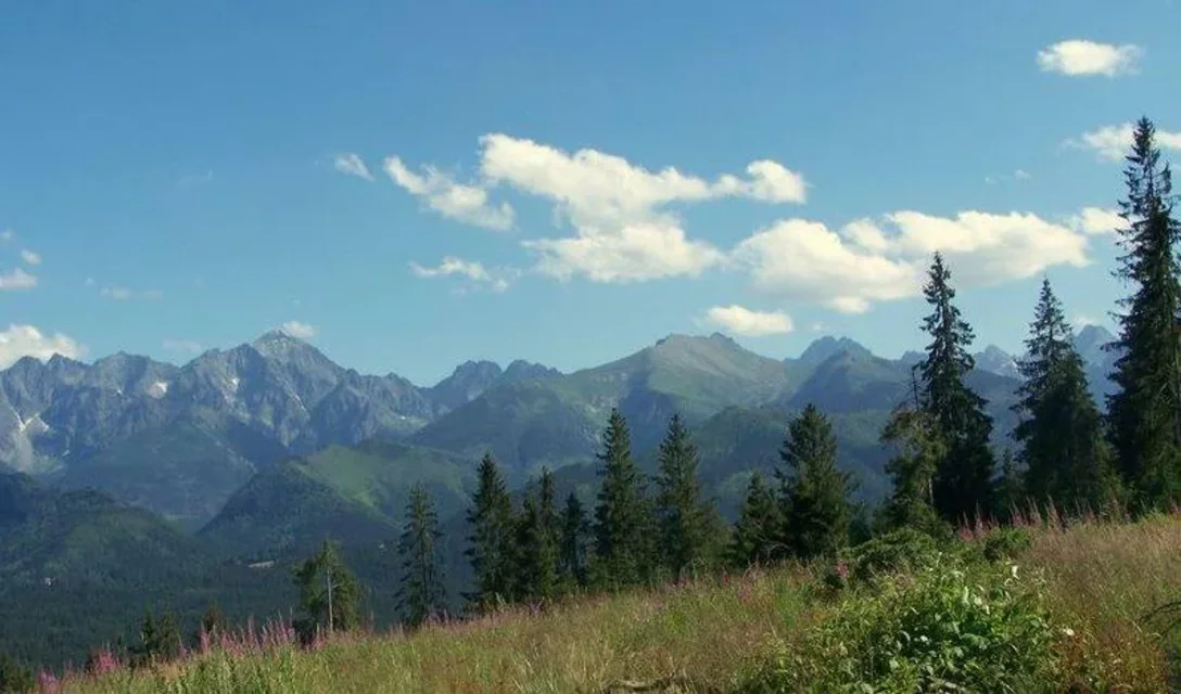 Panorama z Polany Zgorzelisko