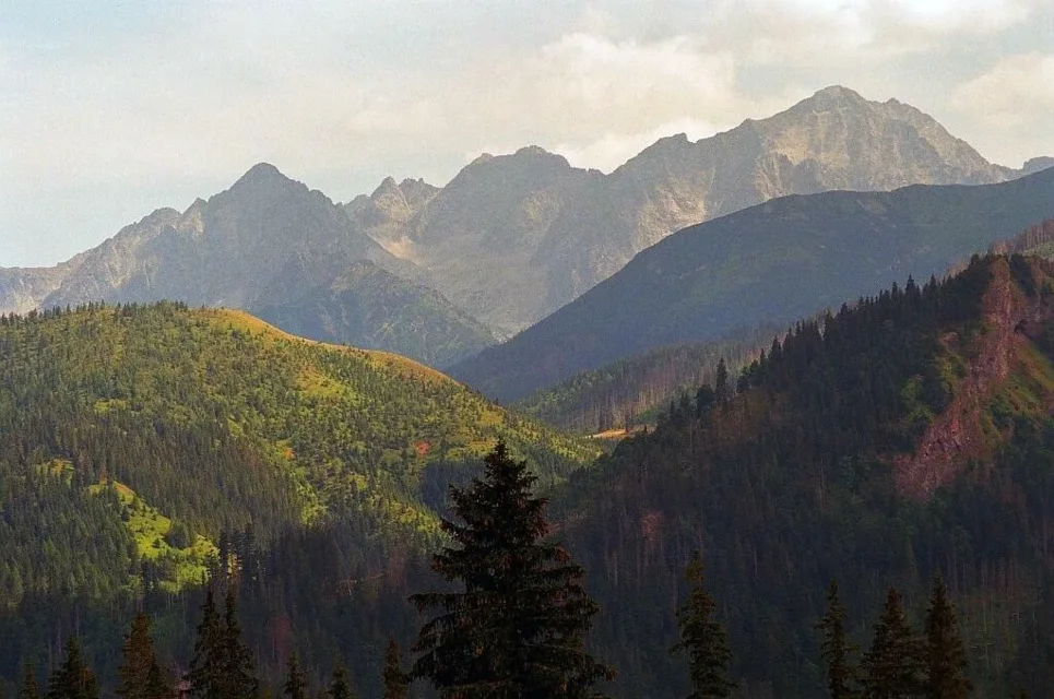 Widok na Tatry z Rusinowej Polany