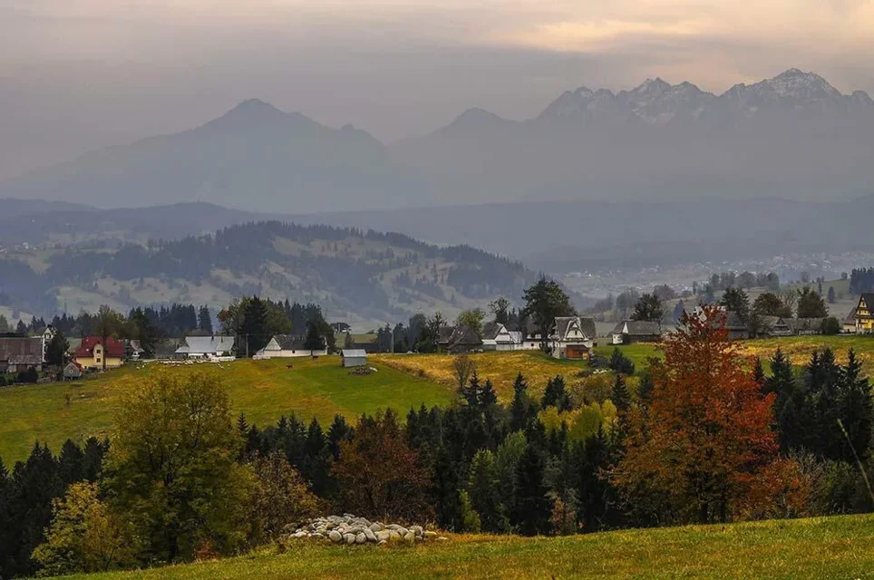Panorama
