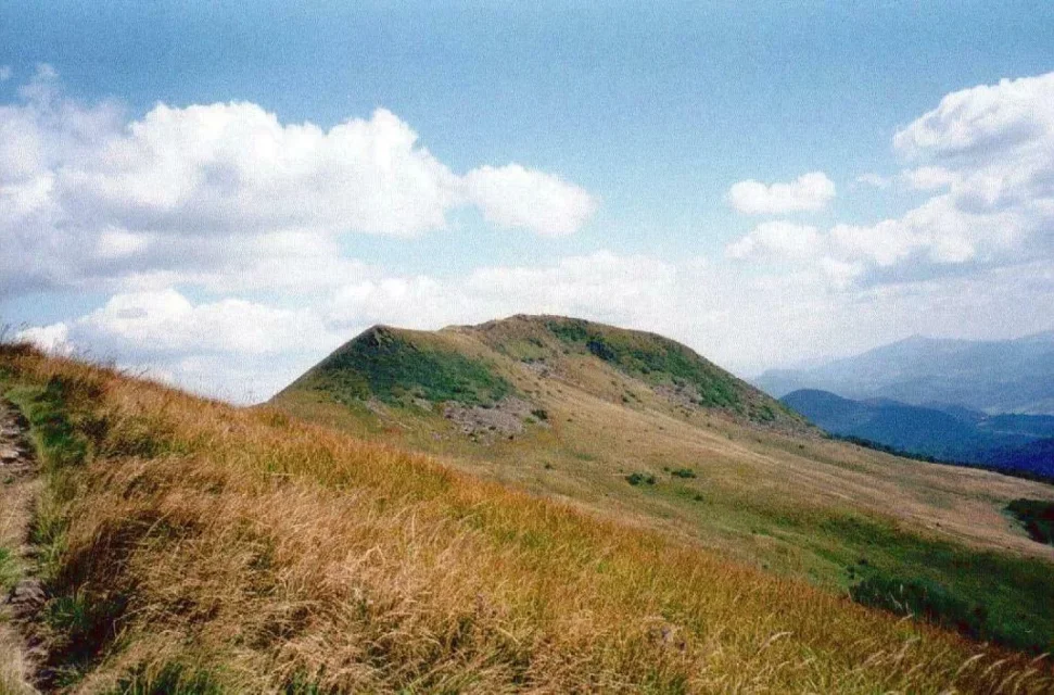 Tarnica
