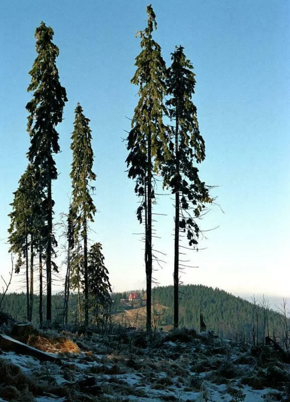 Widok na Stożek