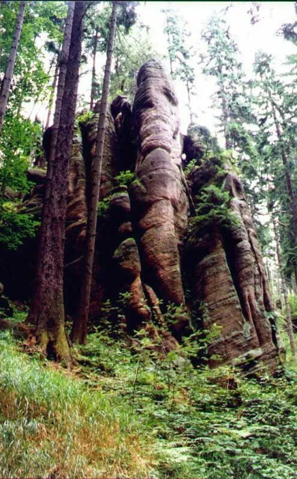 Skały