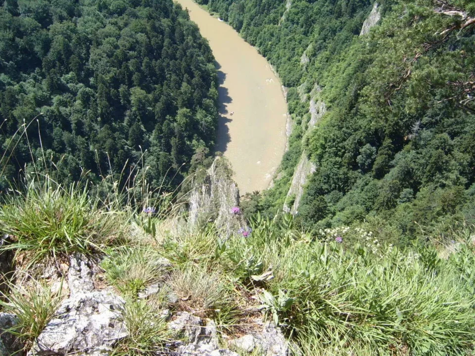 Widok z Sokolicy
