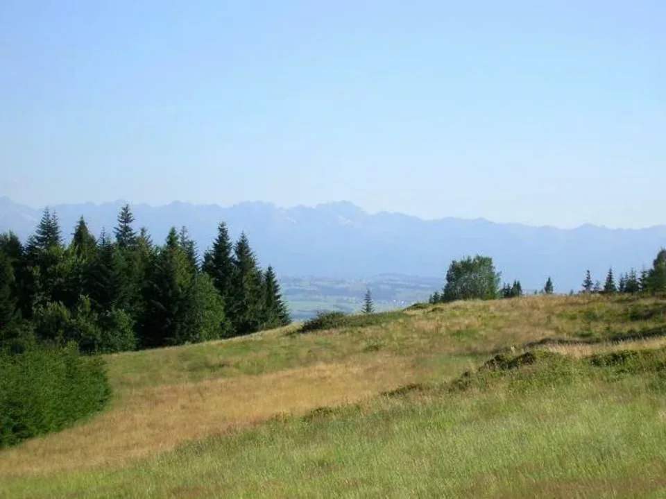 Tatry z Gorców