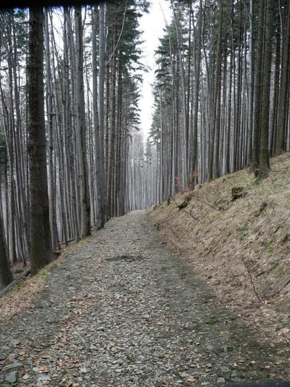 szlak niebieski na Czantorię