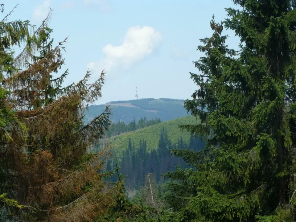 Skrzyczne