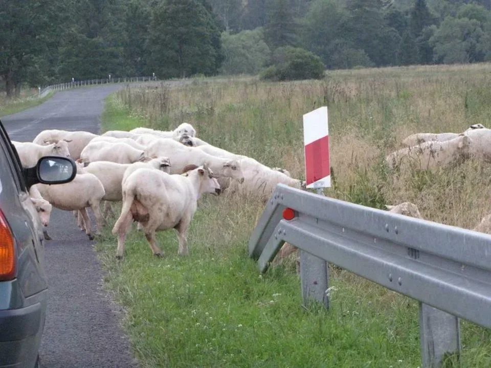 oto Bieszczady