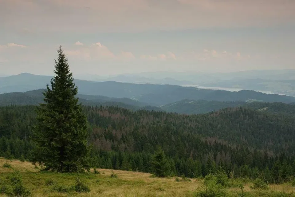 Gorce - widok na pasmo Lubania i Pieniny