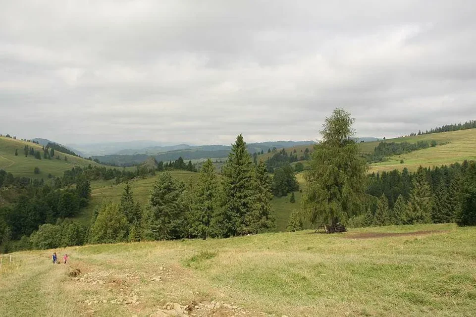 Małe Pieniny - ponad Białą Wodą