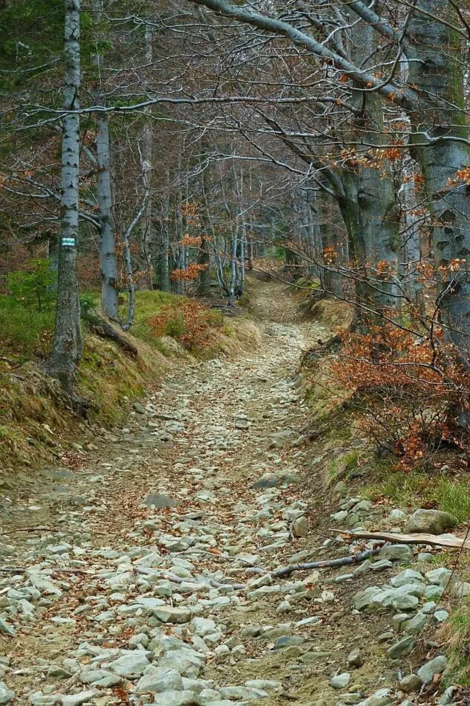 Beskid Śląski. Droga na Błatnią 14.04.2012