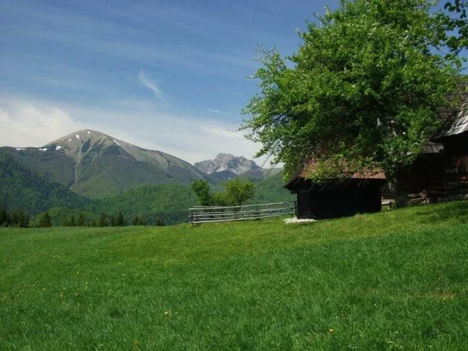 Mala Fatra - Stoh Rozsutec z Podsipa