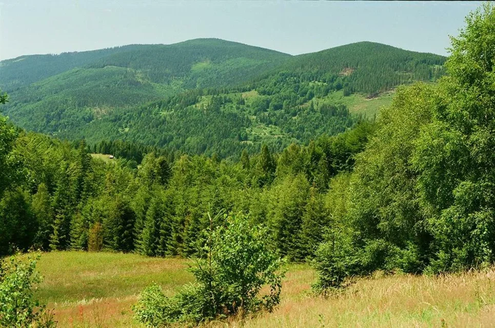 Beskid Żywiecki. Widok z Polany Łobysówka