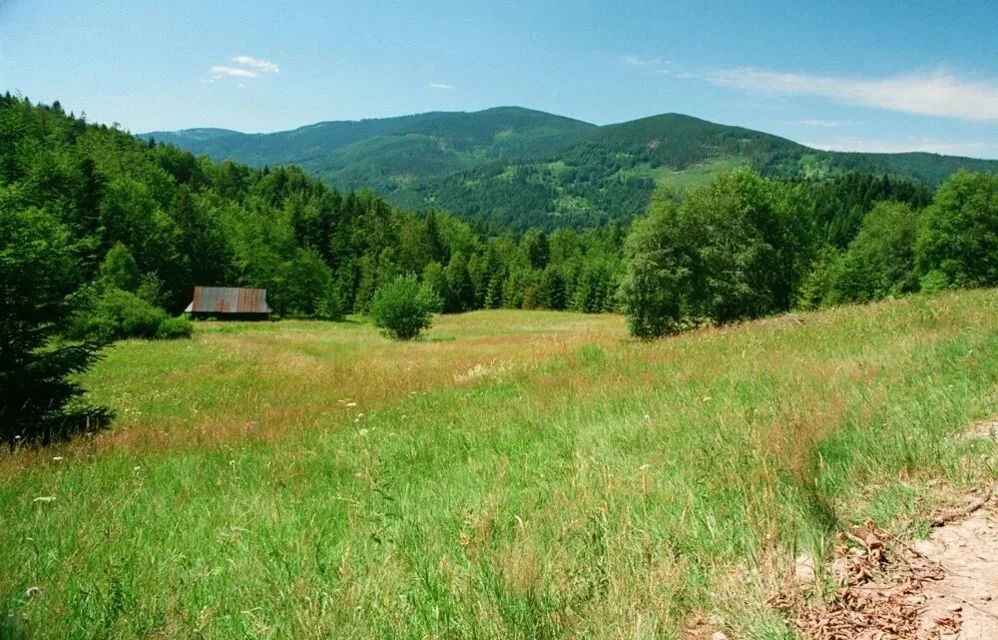 Beskid Żywiecki. Widok Z Polany Łobysówka