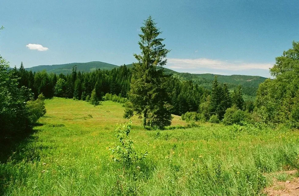 Beskid Żywiecki. Widok z Polany Łobysówka, szlak z Sopotni Wielkiej na przełęcz Przysłopy