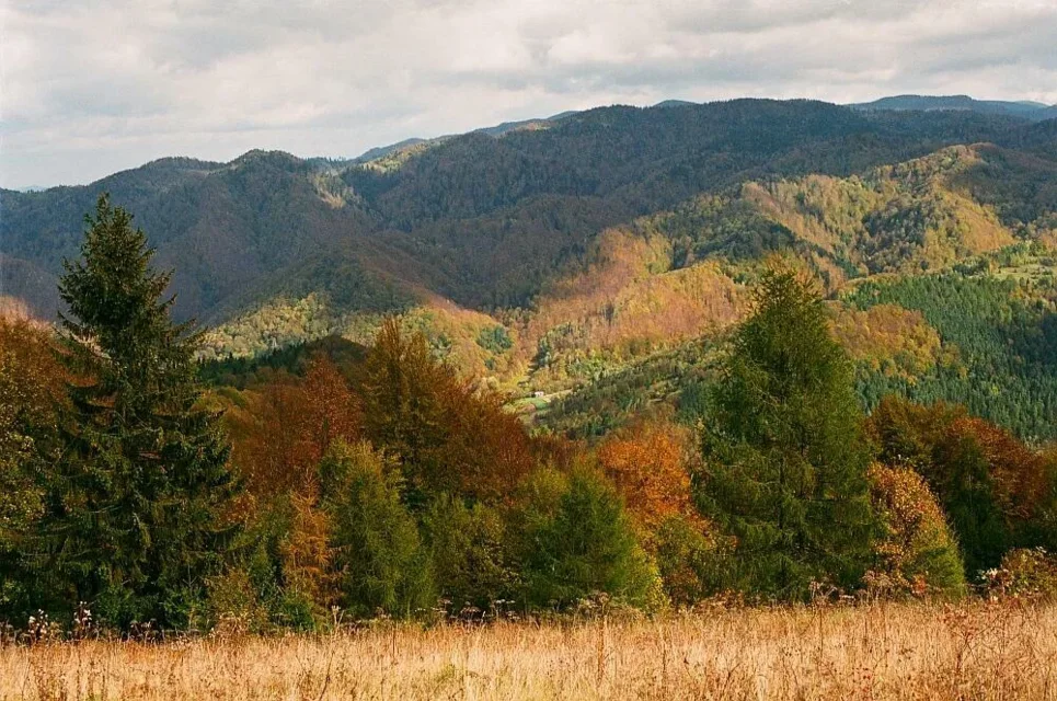 Beskid Sądecki ze szlaku z Krościenka na Lubań