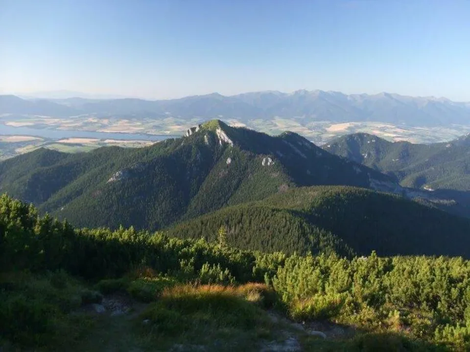 Havrany Sina spod Predneho Boru